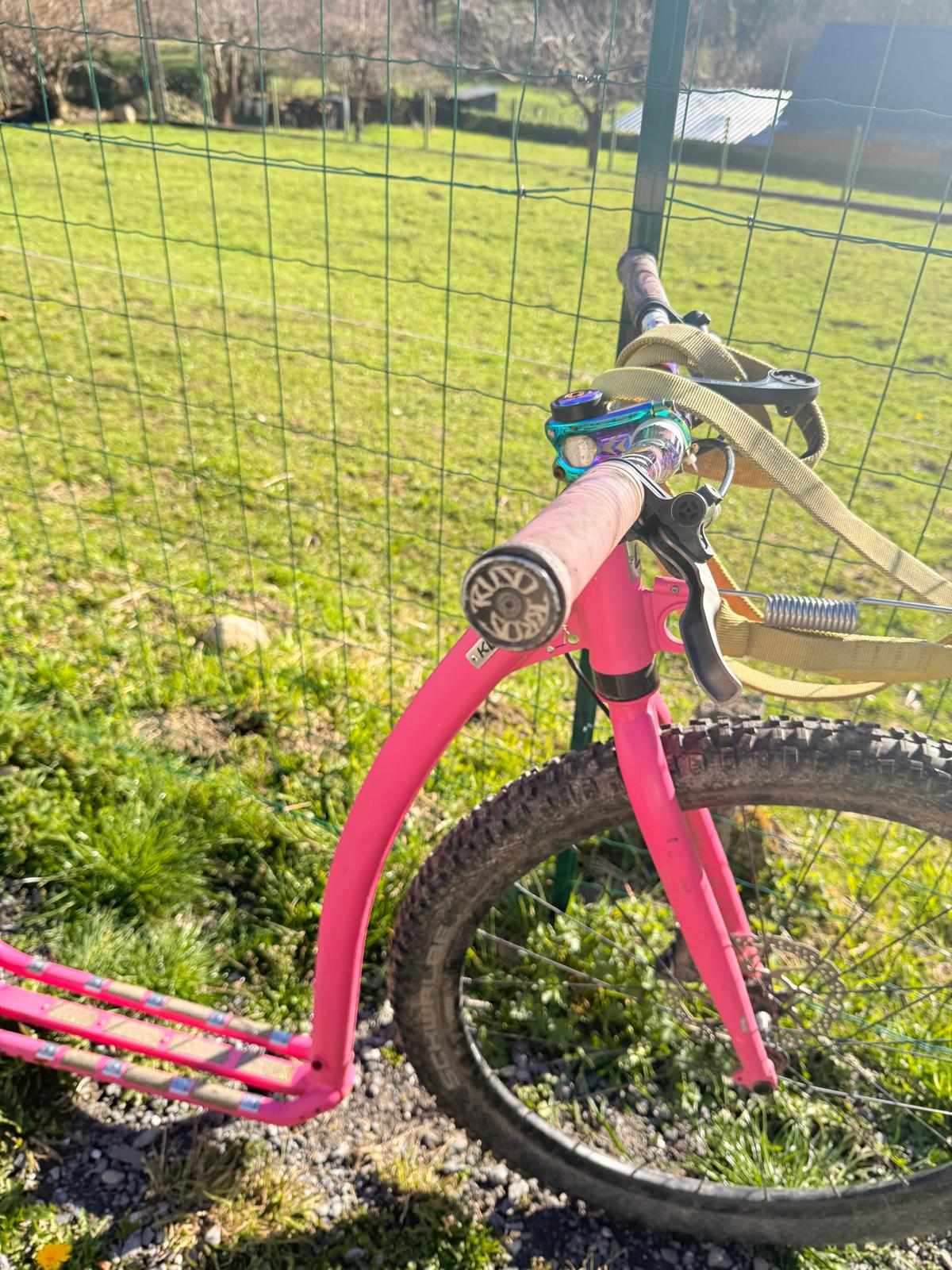trottinette-occasions/canitrottinette-occasion-kostka-trip-max-dog-rose-bourguoin